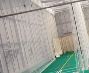 cricket netting